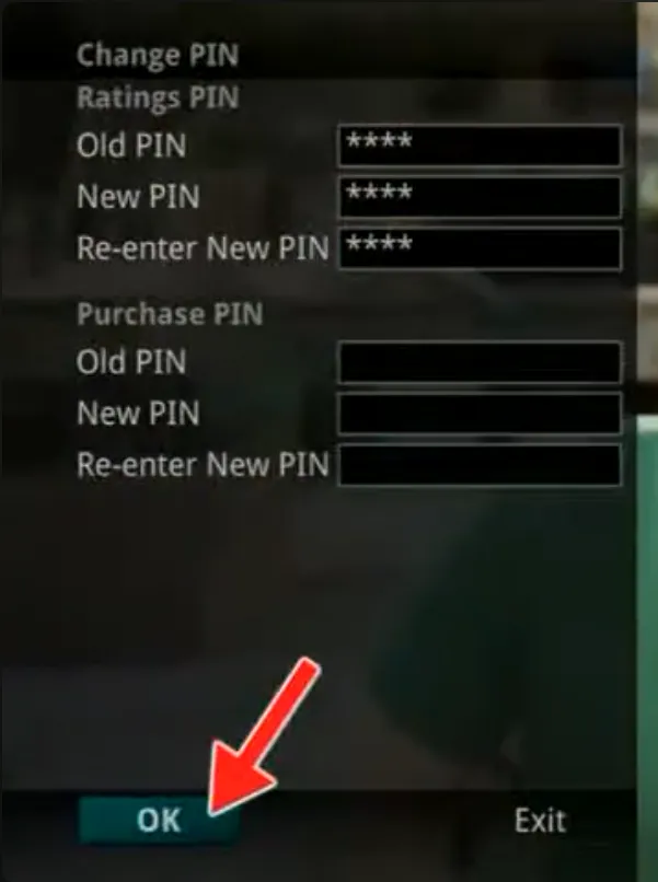Écran « Change PIN » avec l’ancien code, le nouveau code et sa confirmation, puis le bouton OK
